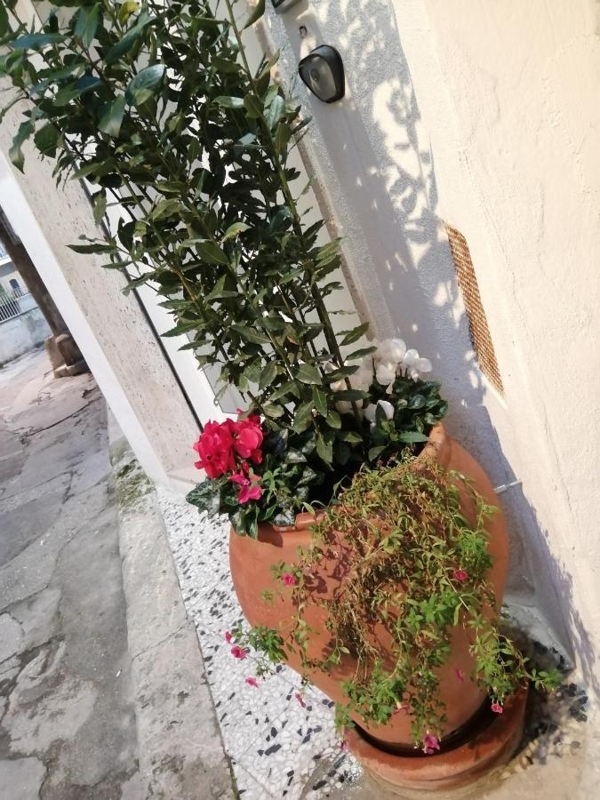 Relax Santa Cecilia Gravina in Puglia